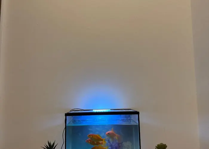 The Rialto Rest Appartement Venise