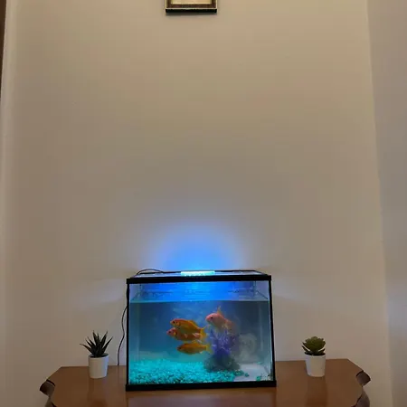 The Rialto Rest Apartment Venedig